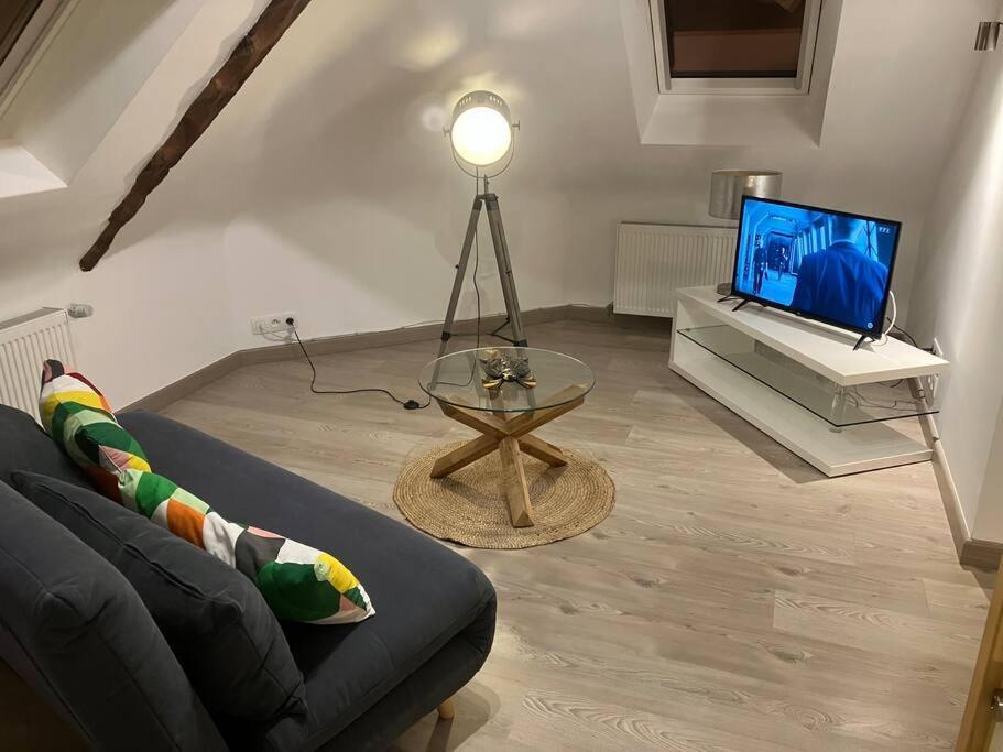 Duplex 6/8p Centre Appartement *